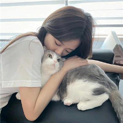 剧场版 白箱